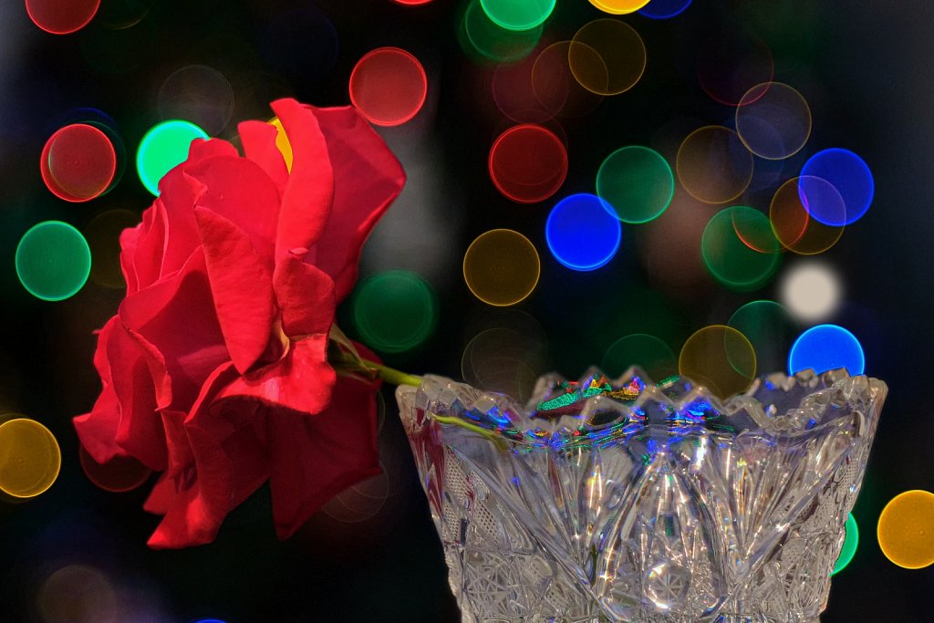 TTArtisan 100mm f/2.8 Bubble Bokeh